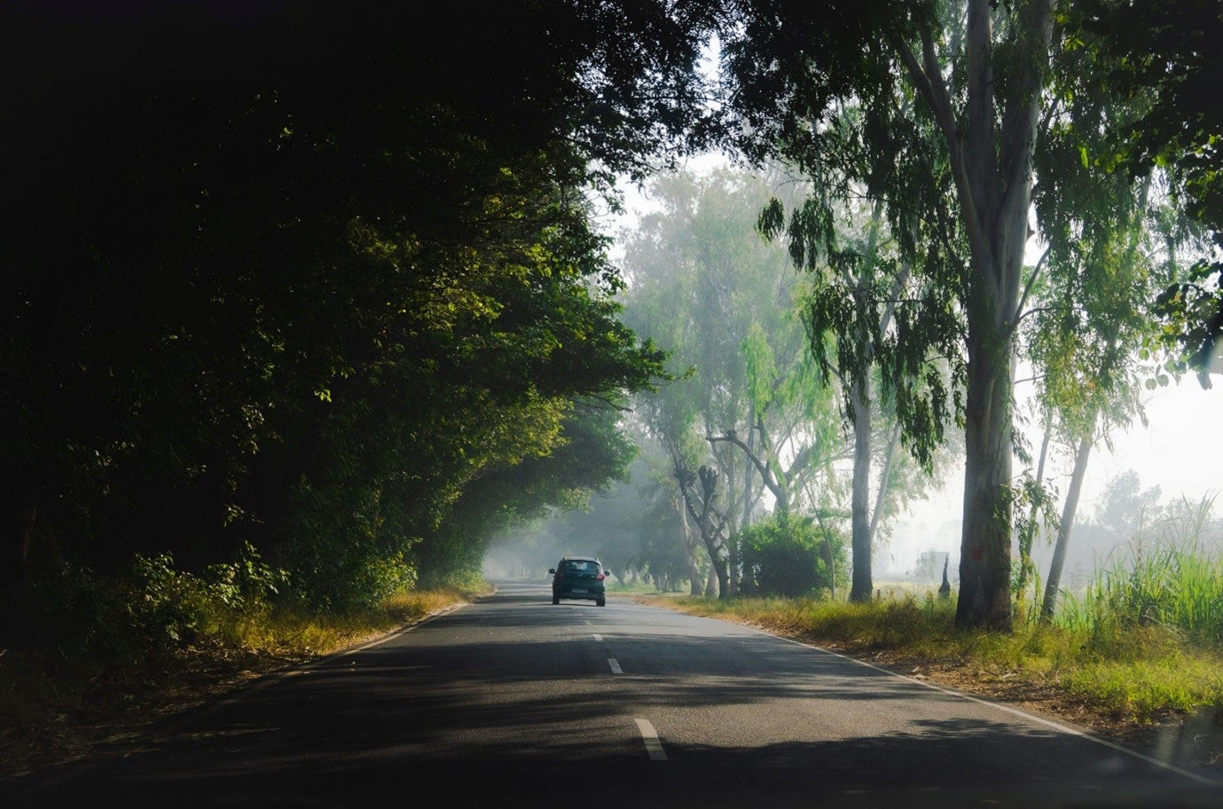 Road Trips Done Right with Daily Compression Socks !